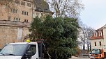 Auch in Sondershausen steht der Weihnachtsbaum (Foto: Karl-Heinz Herrmann)