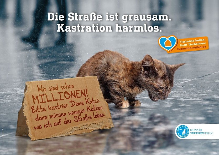 Kampagne (Foto: Tierschutzbund)
