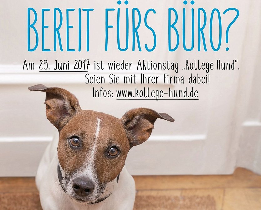 Plakat (Foto: Deutscher Tierschutzbund)