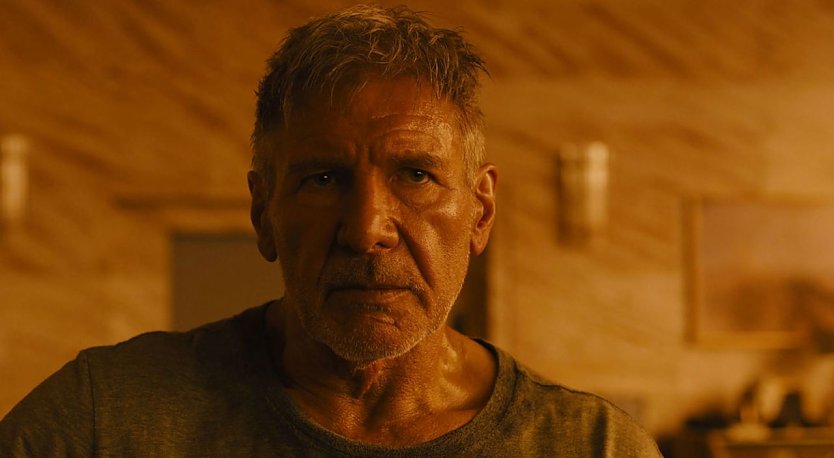 Harrison Ford (Foto: Sony Pictures Germany)