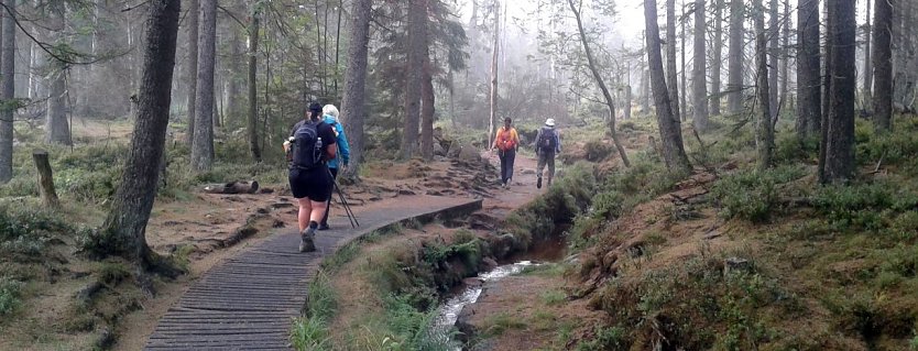 Kurz nach 7 bewältigten die Teilnehmer des 13. Harz-Hunderters Extrem nach der ersten durchwanderten Nacht planmäßig den Abschnitt vom Torfhaus zum Brocken. (03.08.2019) (Foto: Bodo Schwarzberg)