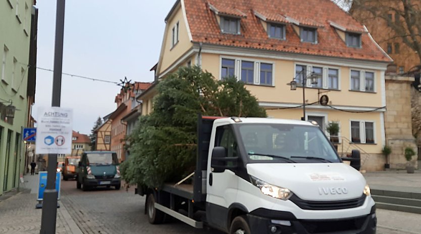 Auch in Sondershausen steht der Weihnachtsbaum (Foto: Karl-Heinz Herrmann)
