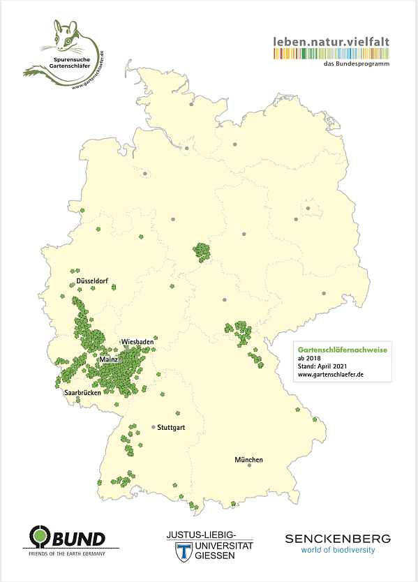 Die Deutschlandkarte der letzten "Spurensuche" (Foto: BUND)