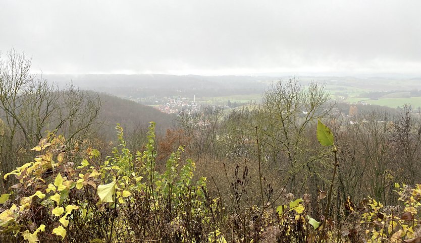 Blick von der Burgruine Hohnstein (Foto: oas)