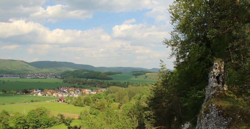 Hoch oben auf dem Mühlberg kann man wunderbare Ausblicke auf den Südharz genießen (Foto: agl)