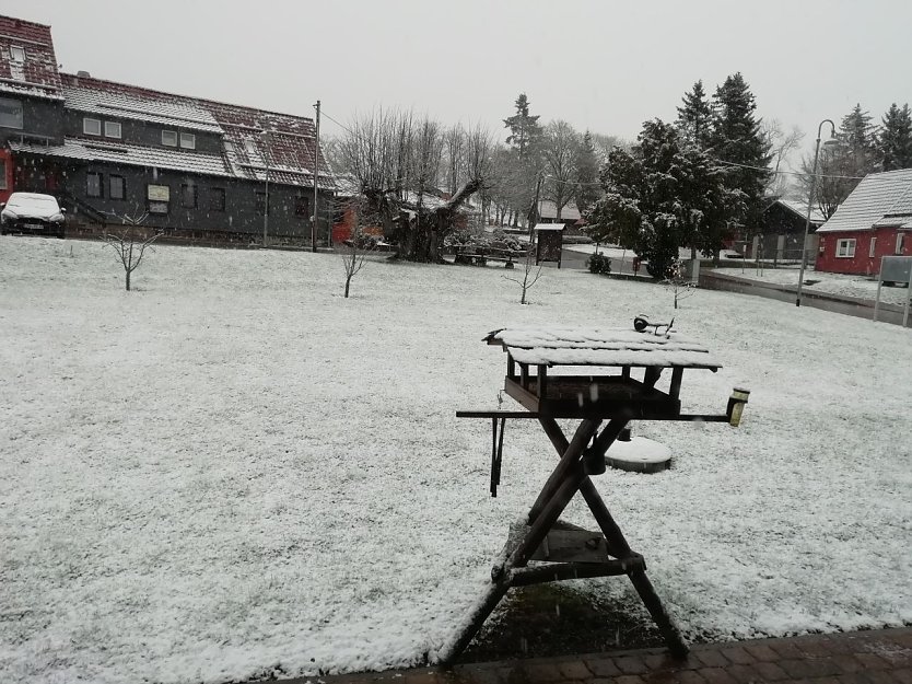 In Sophienhof kam gestern der Winter noch einmal zurück (Foto: W. Jörgens)
