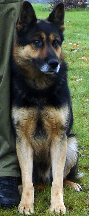 Bild: Hektor