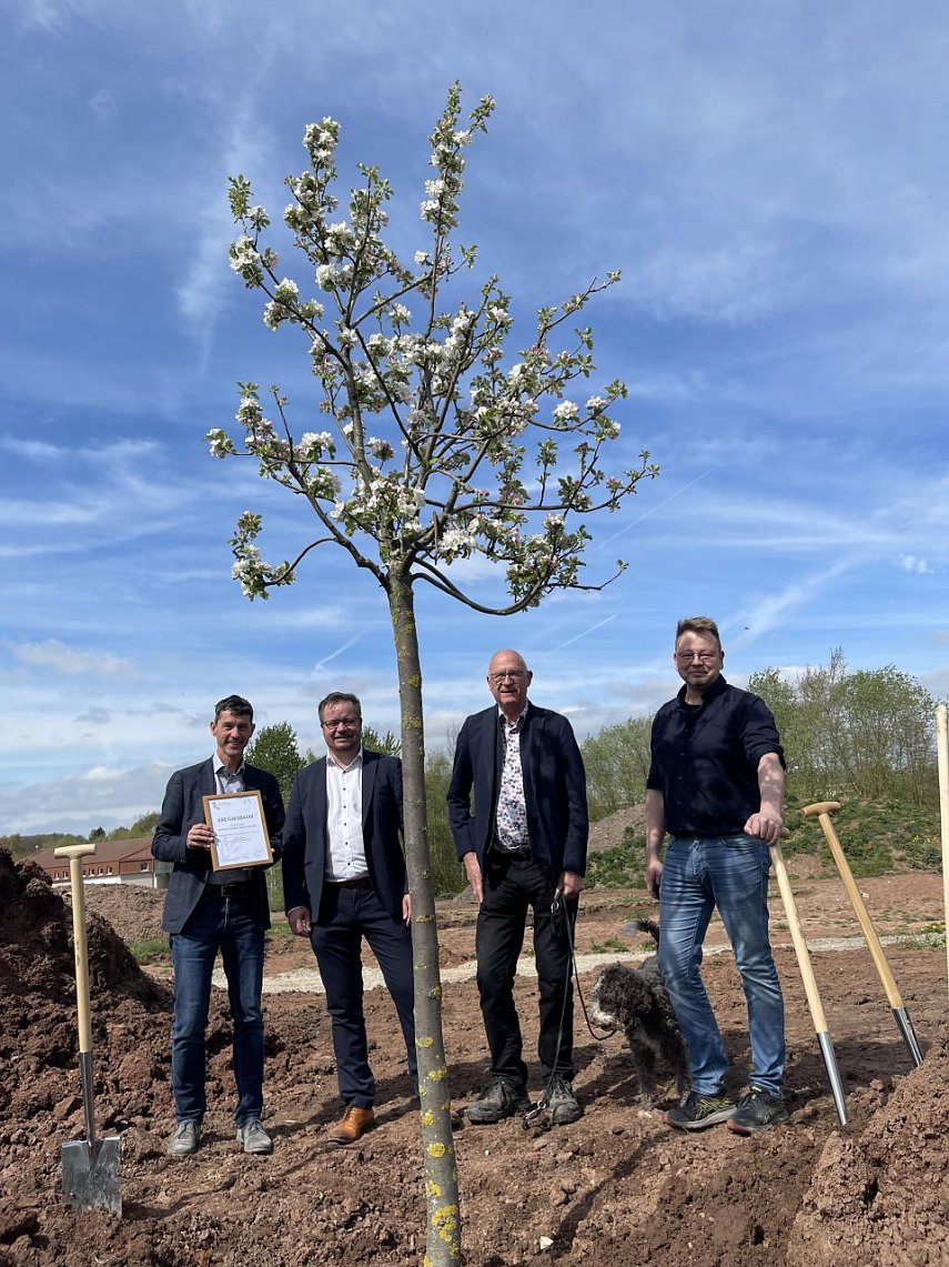 Bild: Der erste Baum ist gepflanzt