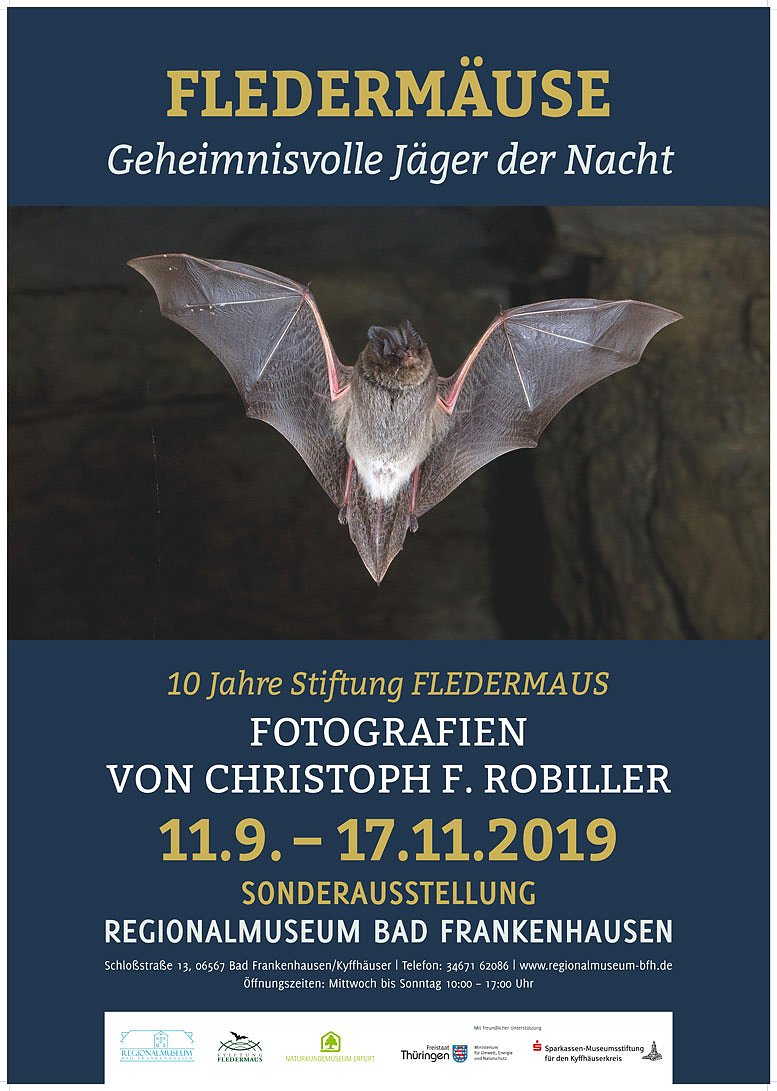 Bild: Flederm&auml;use Geheimnisvolle J&auml;ger der Nacht