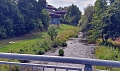Auch am von Spazierg&auml;ngern gern aufgesuchten Zorgeufer unweit des Badehauses in Nordhausen bl&uuml;ht der Riesen-B&auml;renklau. (B. Schwarzberg)