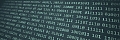 Website durch Bot-Invasion lahmgelegt (vgf)