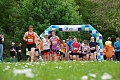 In Neustadt startete erstmals ein 11-Kilometer-Lauf, auch die Nordic Walker ging auf diese Distanz.  (ssc)