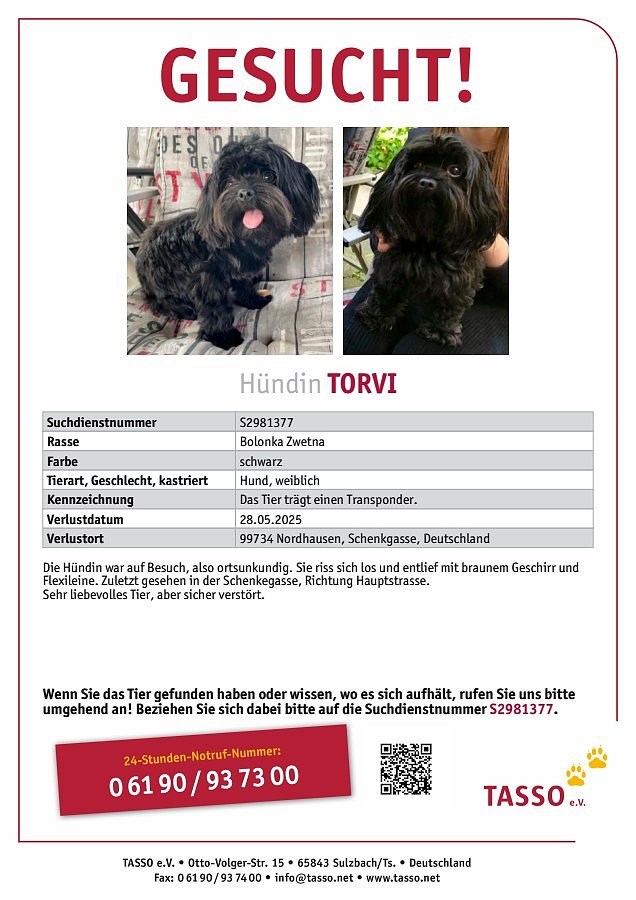 Bild: Tasso-Steckbrief zu Torvi