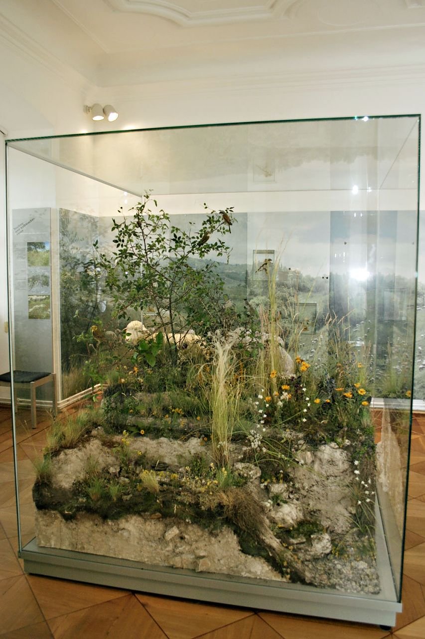 Bild: Ausstellung endet!