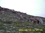 Ausbildung in den Alpen (Foto: privat)