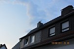 Besuch aus der Luft (Foto: J. Le&szlig;ner)