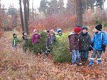 Ein Tannenbaum f&uuml;r unsere Kindervilla (Foto: Kindervilla Bad Frankenhausen)