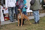 Weihnachtsmarkt im Tierheim (Foto: nnz-City Scout Sven G&auml;mkow)