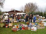 Weihnachten im Tierheim (Foto: C. Knust)