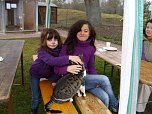 Weihnachten im Tierheim (Foto: C. Knust)