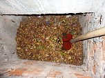 Glutnest in Laub und Unrat (Foto: Berufsfeuerwehr)