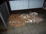 Glutnest in Laub und Unrat (Foto: Berufsfeuerwehr)