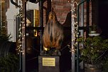 Weihnachtliche Zeitreise (Foto: Nico Hofsommer)
