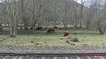 Unterwegs im Harz (Foto: B. Schwarzberg)