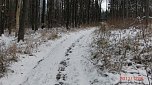Unterwegs im Harz (Foto: B. Schwarzberg)