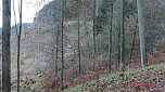 Unterwegs im Harz (Foto: B. Schwarzberg)