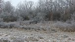 Im Einsatz f&uuml;r die Natur (Foto: B. Schwarzberg)