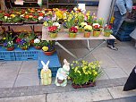 Von wegen Osterhase (Foto: Karl-Heinz Herrmann)