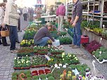 Sondersh&auml;user Ostermarkt (Foto: Familie Kieper)