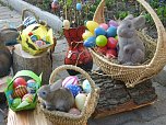 Ostern in der Langen Wand (Foto: privat)