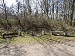 Unterwegs im Park (Foto: Karsten Thorhauer)