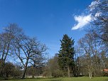 Unterwegs im Park (Foto: Karsten Thorhauer)