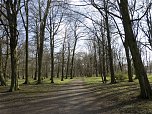 Unterwegs im Park (Foto: Karsten Thorhauer)