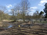 Unterwegs im Park (Foto: Karsten Thorhauer)