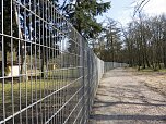 Unterwegs im Park (Foto: Karsten Thorhauer)
