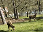 Unterwegs im Park (Foto: Karsten Thorhauer)