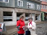 Stra&szlig;enwahlkampf (Foto: Die Linke Sondershausen)