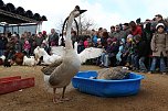 Osterfest auf dem Berg (Foto: nnz)