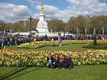 Humboldt in England (Foto: privat)