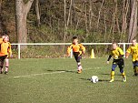 In Sollstedt gewonnen: F1-Junioren der SGN (Foto: M. Liedke)