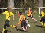In Sollstedt gewonnen: F1-Junioren der SGN (Foto: M. Liedke)
