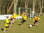 In Sollstedt gewonnen: F1-Junioren der SGN (Foto: M. Liedke)