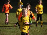 In Sollstedt gewonnen: F1-Junioren der SGN (Foto: M. Liedke)