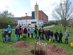 Baum des Jahres gepflanzt (Foto: Karl-Heinz Herrmann) Baum des Jahres gepflanzt (Foto: Karl-Heinz Herrmann)