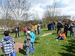 Baum des Jahres gepflanzt (Foto: Karl-Heinz Herrmann) Baum des Jahres gepflanzt (Foto: Karl-Heinz Herrmann)
