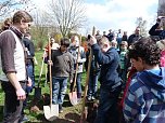 Baum des Jahres gepflanzt (Foto: Karl-Heinz Herrmann) Baum des Jahres gepflanzt (Foto: Karl-Heinz Herrmann)